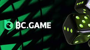 Discovering the World of BC.Game A Leader in Crypto Gaming