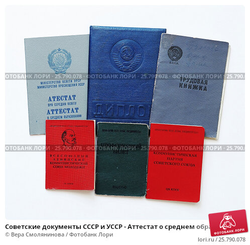 Серия и номер диплома что это значит и зачем они нужны