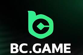 Understanding BC.Game Bonus Types for Maximum Play Benefits