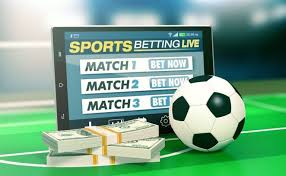 Exploring the World of Online Betting with 1xbet